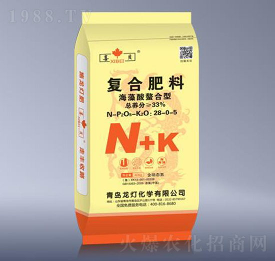 ���������͏�(f��)�Ϸ���28-0-5-����-����