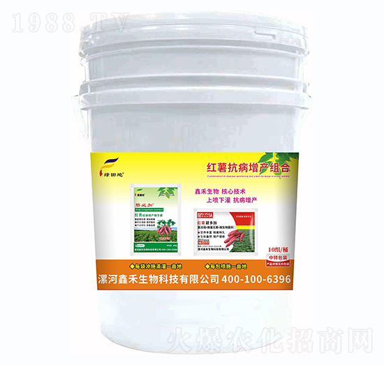 �t���������a�M��-�G���-�κ�����