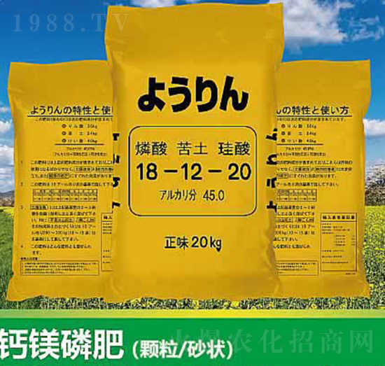 �}�V�׷�18-12-20-����ʘI(y��)