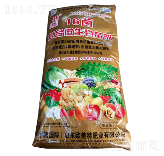 16���ͺ�΢�������-��������