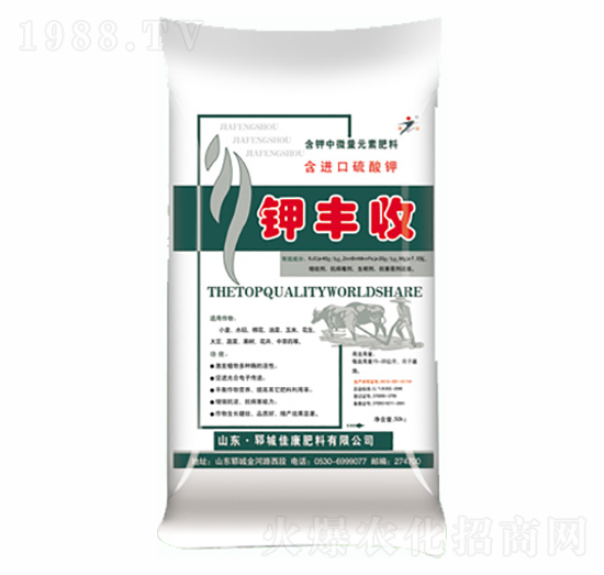 ��S��-�ѿ�