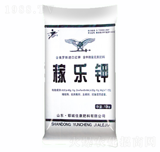 �ژ��-�ѿ�