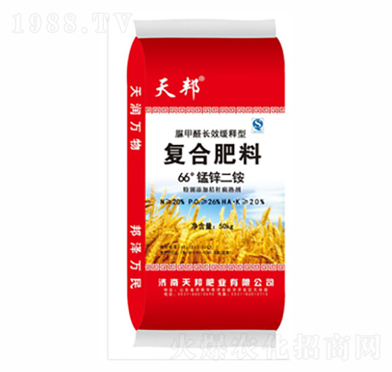 66���i�\���@�ͺϷ���-���-�f��