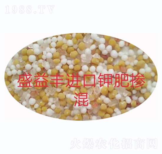 �M��⛷ʓ���-ʢ���S