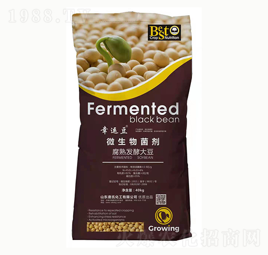 ΢�������-���\(y��n)��-���ϻ���