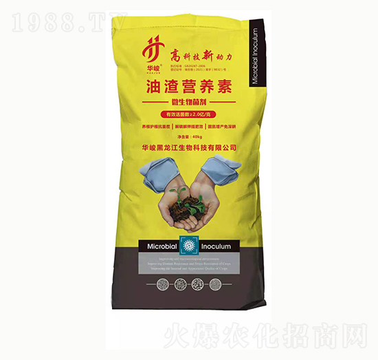 �����I�B(y��ng)��-���ϻ���