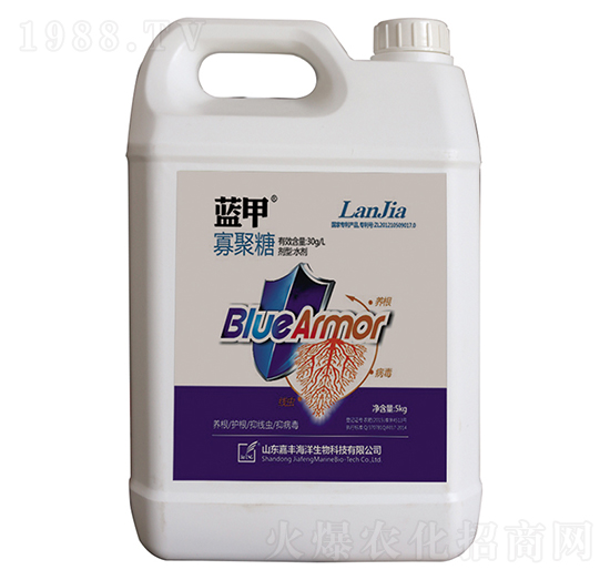 �{�ס��ߝ��Һ�w������-���S