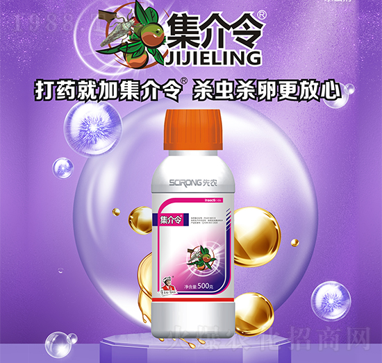 25%���������ͪ-������-���r����