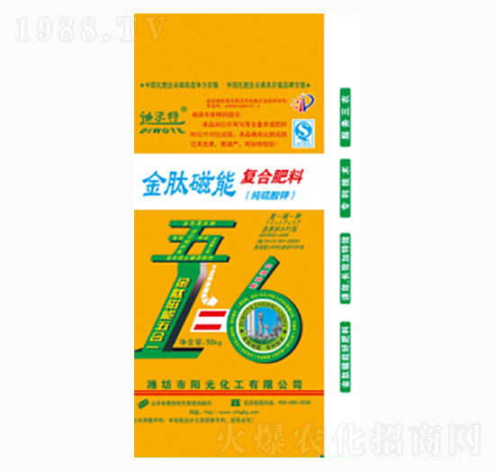 ���Ĵ��܏ͺϷ���-ꖹ⻯��