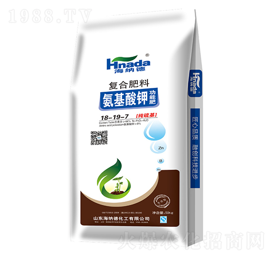 ������⛹��ܷʏ�(f��)�Ϸ�18-19-7-���{��