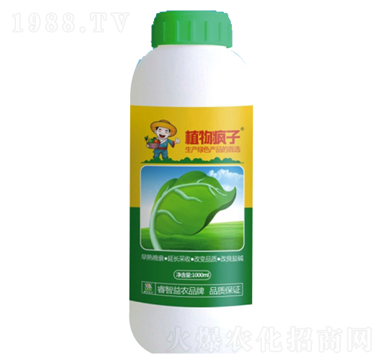 ֲ�﯂��-������r(n��ng)