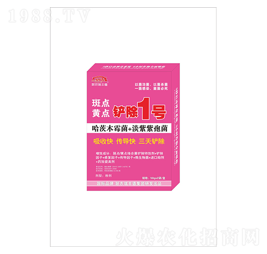 ���c�S�c�P��1̖-�r���S��