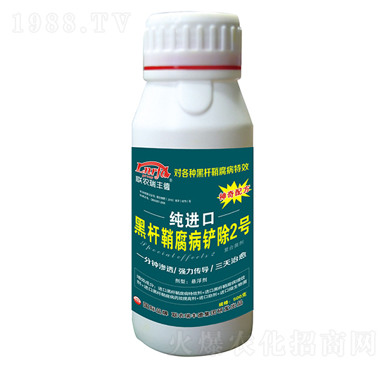 ΢�������-���M�ںڗU�ʸ����P��2̖-���S��