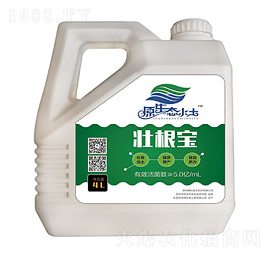 �Ѹ���-�ۿ�����