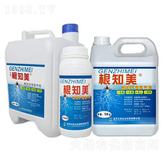 ��֪��-̫��