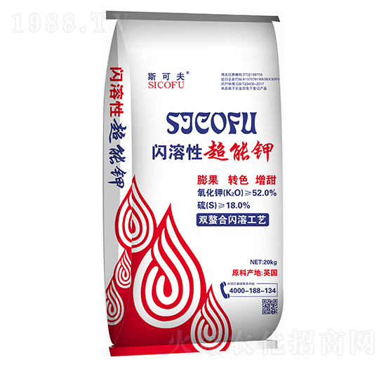 �W���Գ����-�������