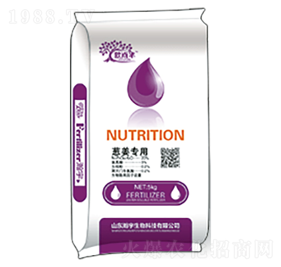 �[������-�������