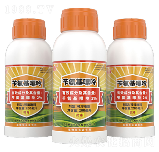 2%�S��������-�Ȕ�-�����S