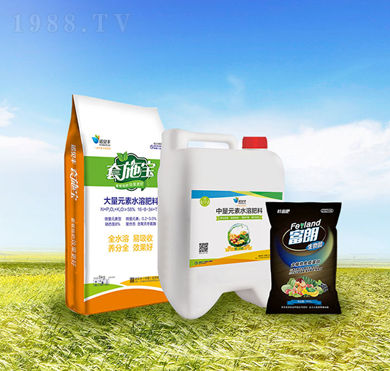 �ײ�B-�Zؐ�S