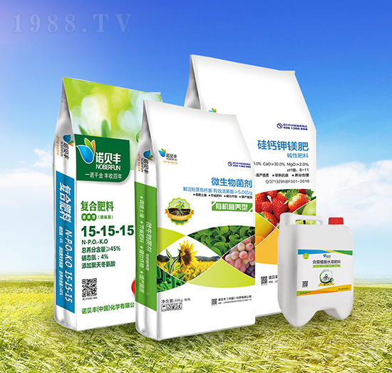 �ײ�C-�Zؐ�S