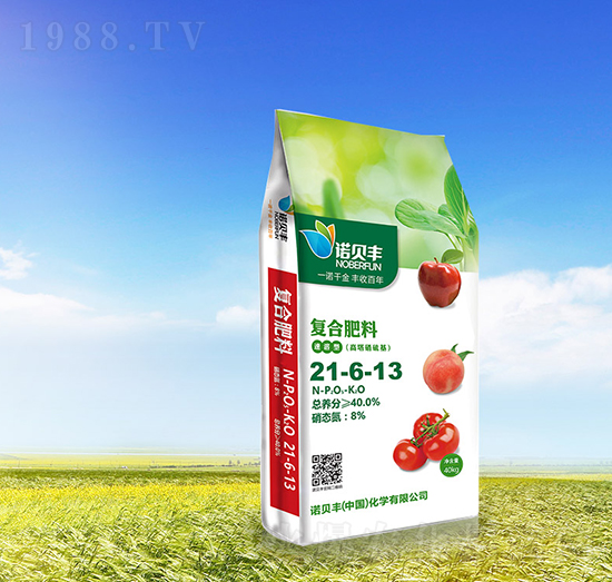 ����������ͺϷ���21-6-13-�Zؐ�S