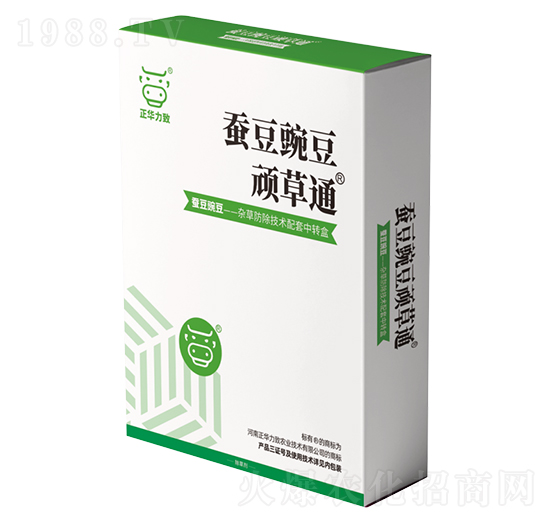 �Q���㶹�B��ͨ-���A����