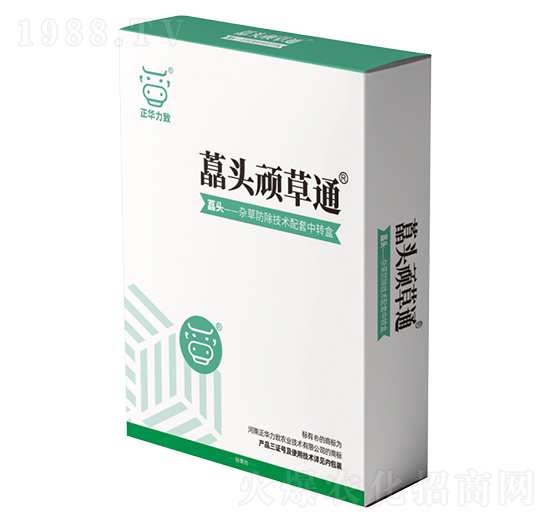 ˊ�^�B��ͨ-���A����