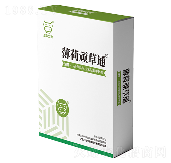 �����B��ͨ-���A����