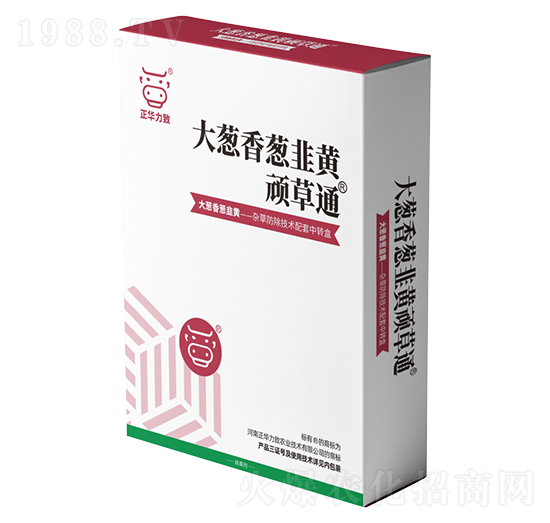 ���[�����[�����S�B��ͨ-���A����