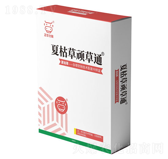 �Ŀݲ��B��ͨ-���A����