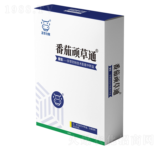 �����B��ͨ-���A����