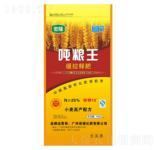 ����ጷ�-���Z��-�긣����