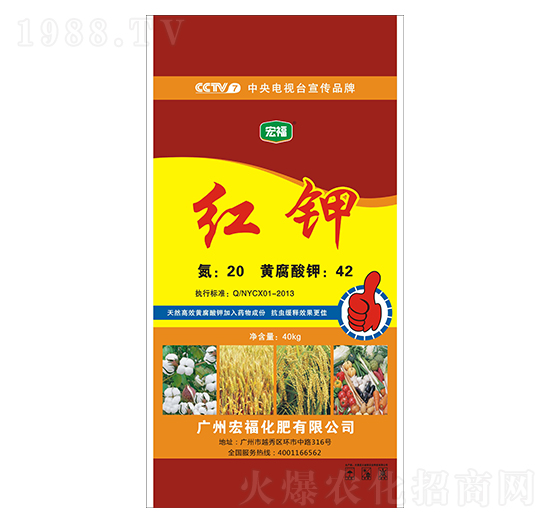 �t�-�������