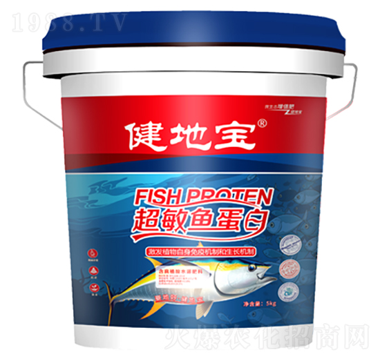 �����~����-���،�