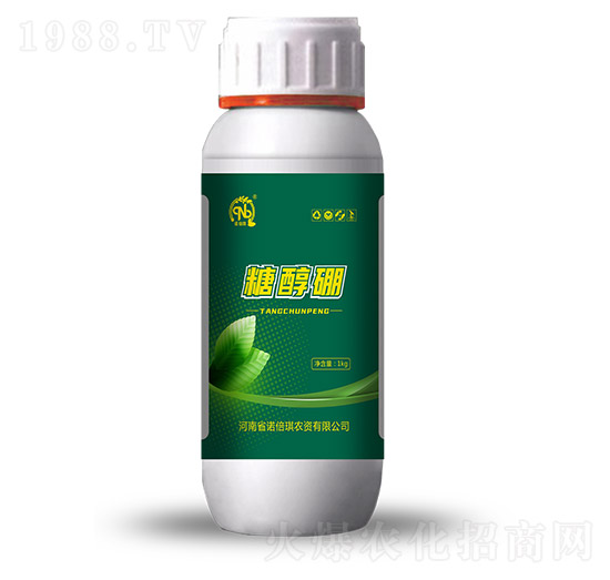 �Ǵ���-�Z����