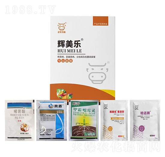 ���������o�����������ݲ�����ή���ײ�-�x����-���A����