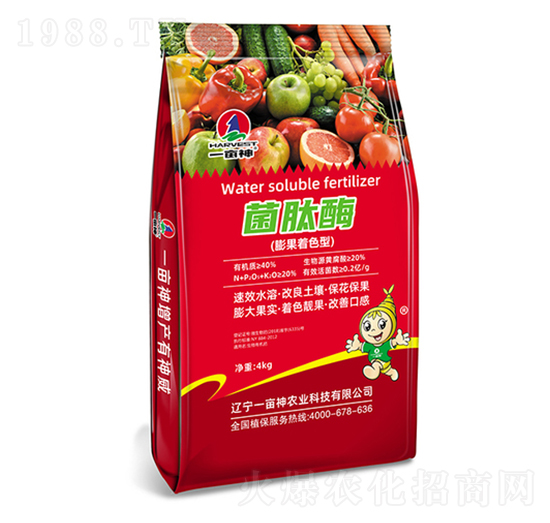 �����ɫ��-����ø���-һ����