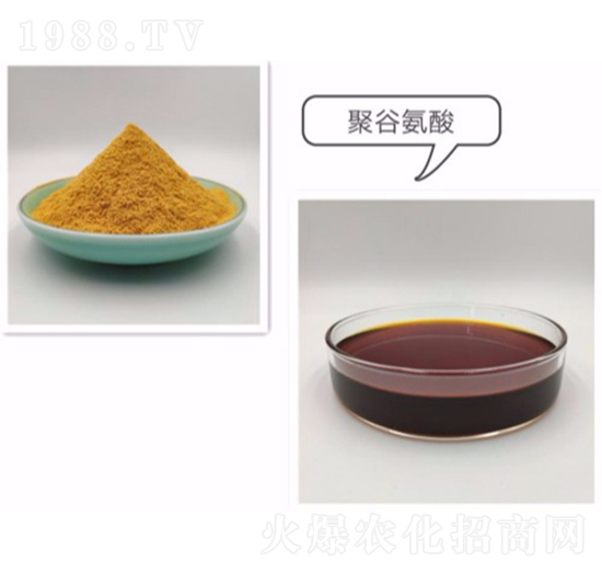 �۹Ȱ���-�����_(d��)