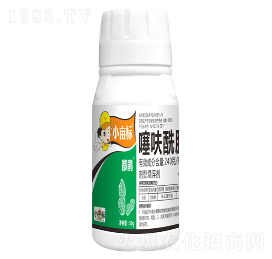 240��ÿ����߻����-С����