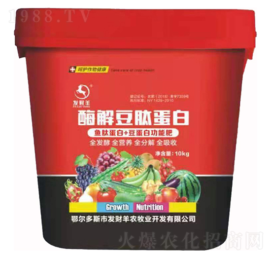 ø�ⶹ�ĵ���-�l(f��)ؔ��