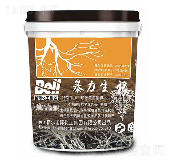 ��������-Ӣ��(gu��)����-�տ���