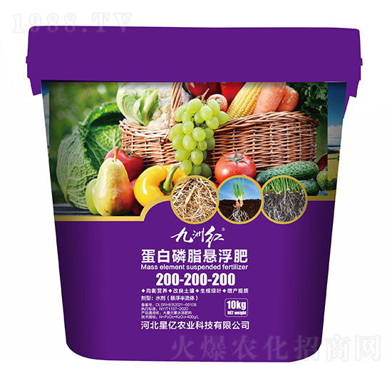 ���ݼt������֬�Ҹ���200-200-200-�ǃ|�r(n��ng)�I(y��)