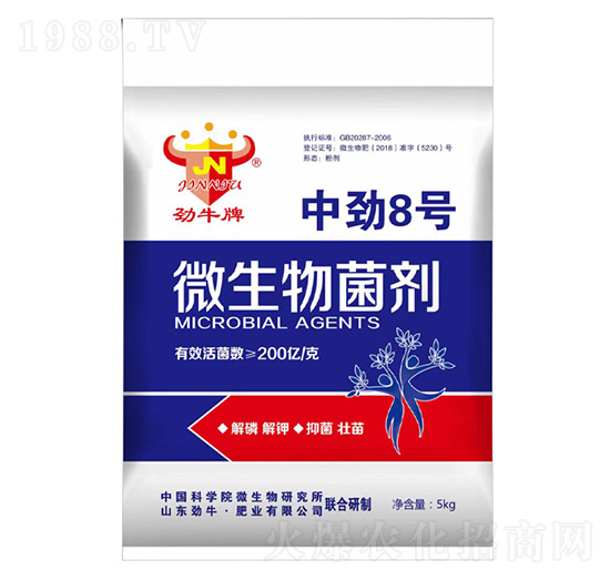 �Є�8̖΢�������-��ţ