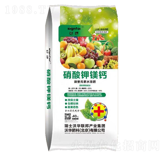 ������V�}-���A����