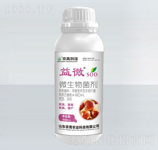 ��������΢�������-��΢-����Ƽ�