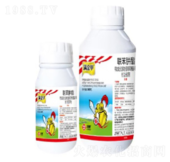 43%(li��n)�������Ҹ���-�M(m��n)���-���՘�(l��)