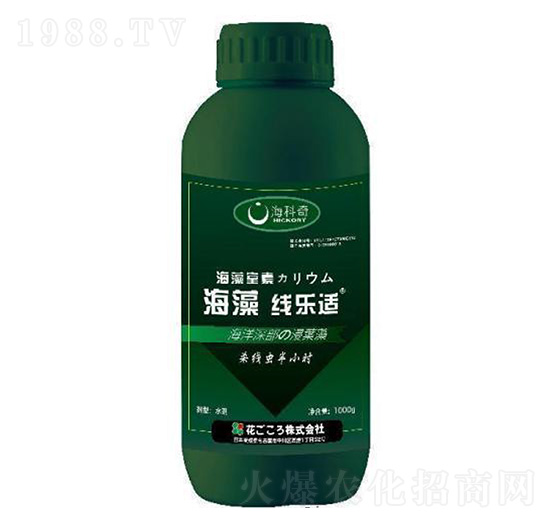 ���往���m-������