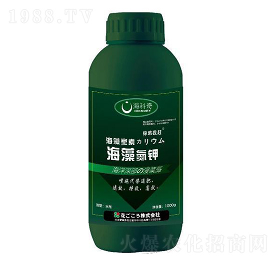 ���嵪�-������