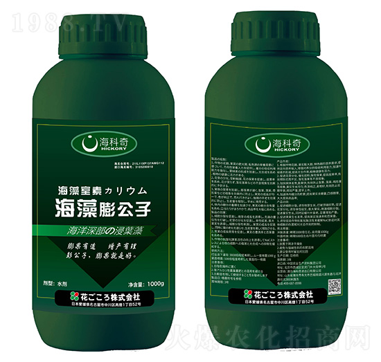 ��������-������