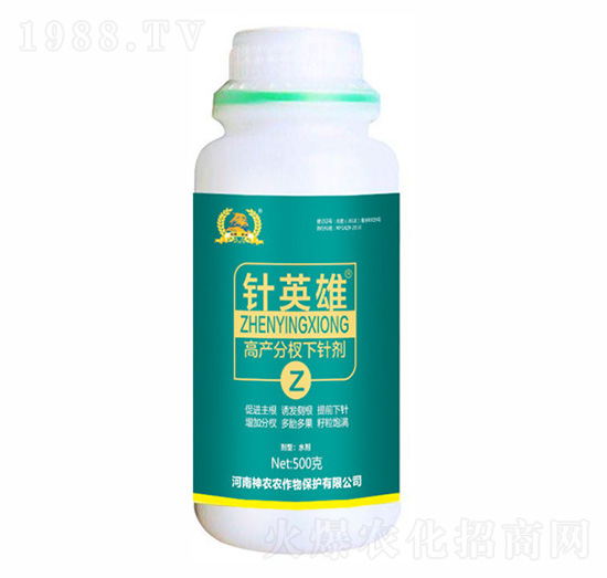 ���������ᘄ�-�Ӣ��-�������r